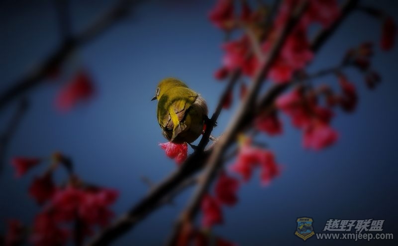IMG_4065.jpg