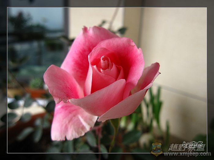 nEO_IMG_IMG_0364.jpg