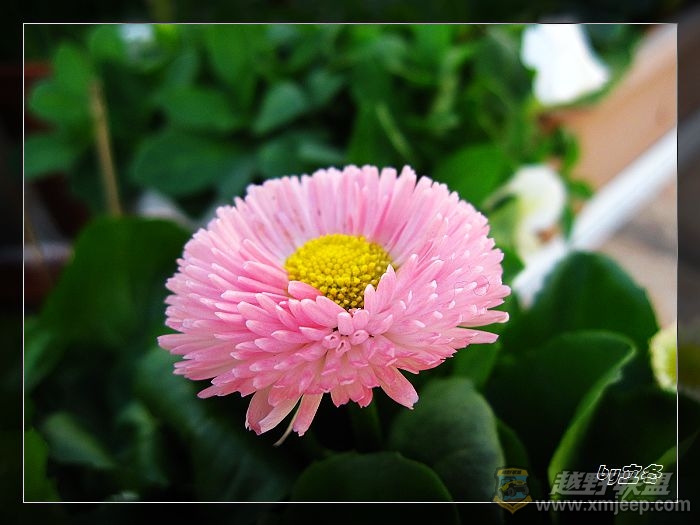 nEO_IMG_IMG_0575.jpg