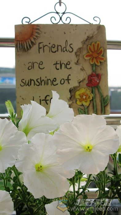 Ƭ 026.jpg