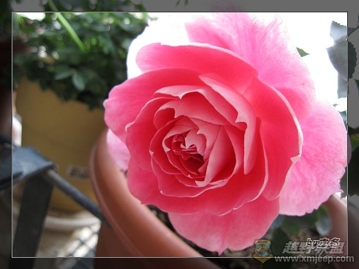nEO_IMG_IMG_0651.jpg