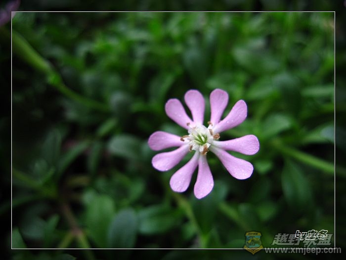 nEO_IMG_IMG_0718.jpg