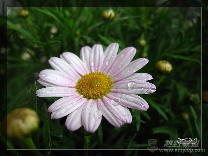nEO_IMG_IMG_0701.jpg