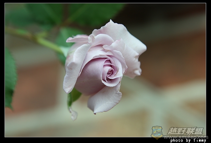 IMG_7594.JPG