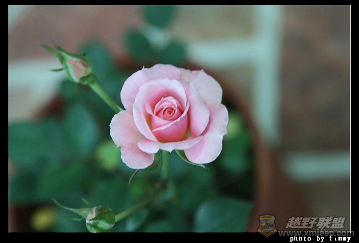 IMG_7636.JPG