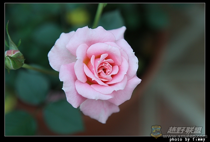 IMG_7652.JPG