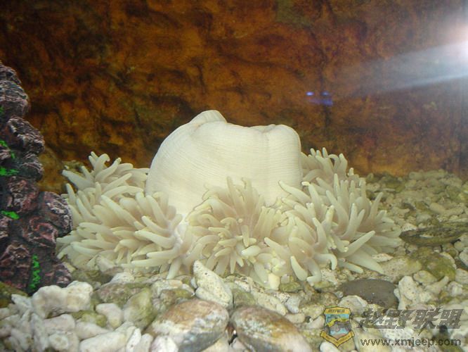 DSC00056_С.JPG