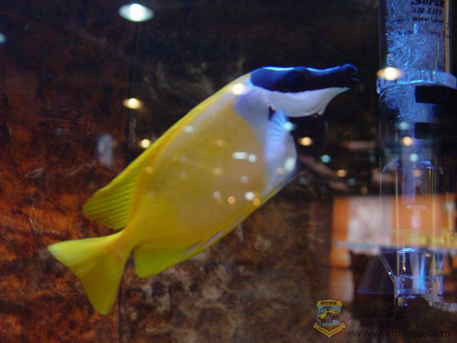 DSC02610_С.JPG