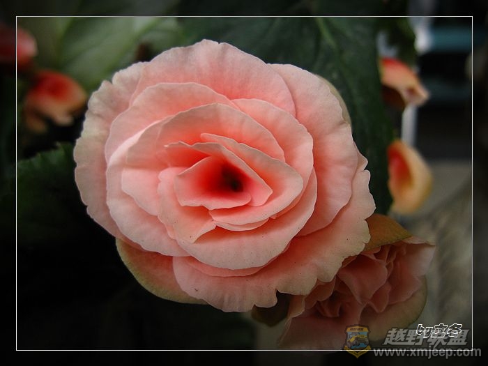 nEO_IMG_IMG_0812.jpg