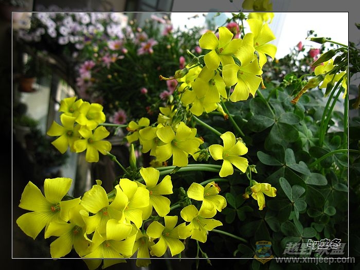 nEO_IMG_IMG_0830.jpg