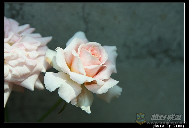 IMG_7680.JPG