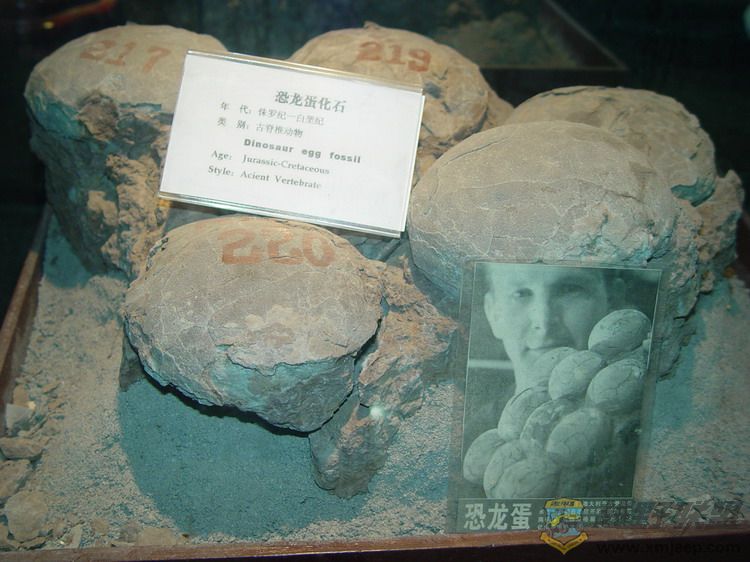DSC01610_С.JPG