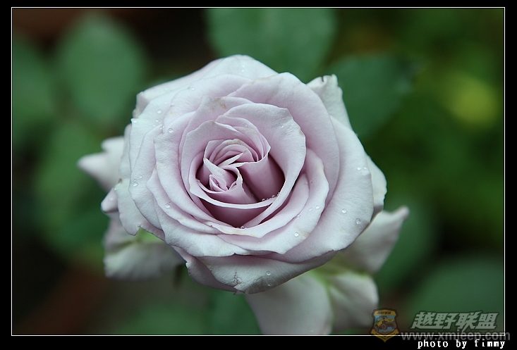 IMG_7752a.jpg