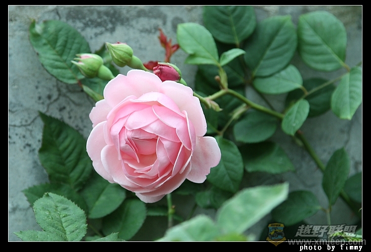 IMG_7754a.jpg
