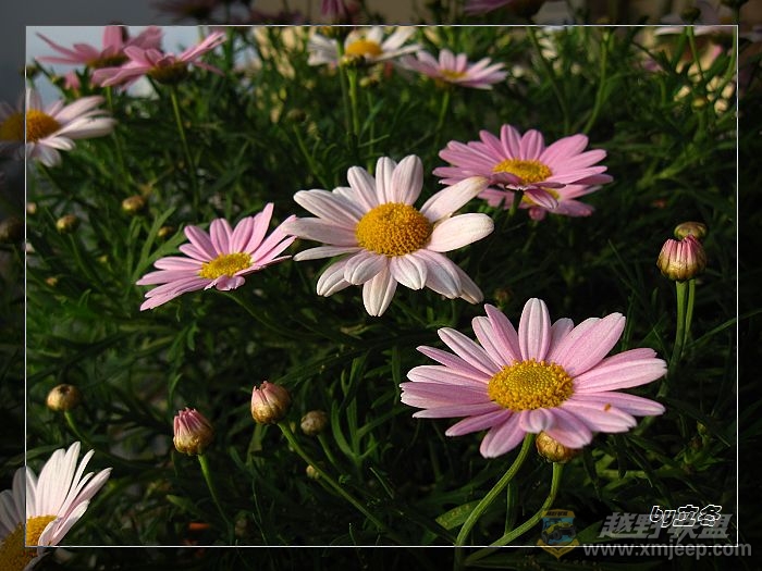 nEO_IMG_IMG_0838.jpg