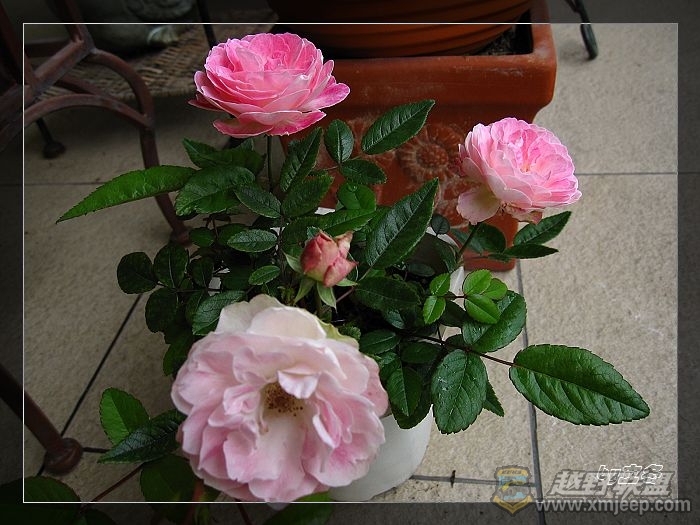 nEO_IMG_IMG_0862.jpg