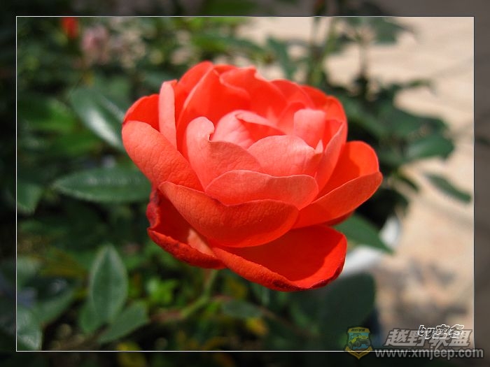 nEO_IMG_IMG_0857.jpg