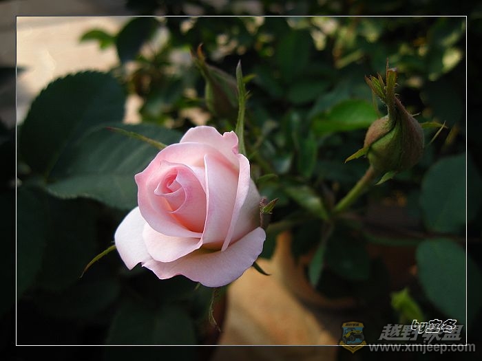 nEO_IMG_IMG_1027.jpg