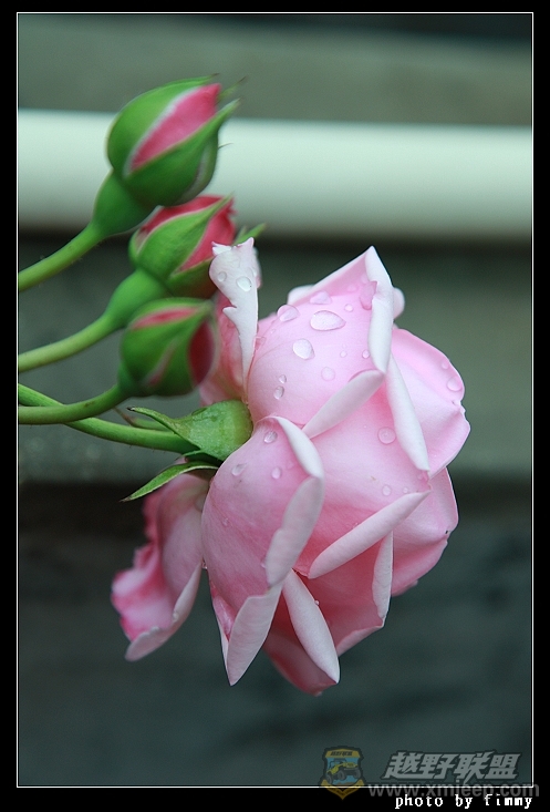IMG_7864.JPG