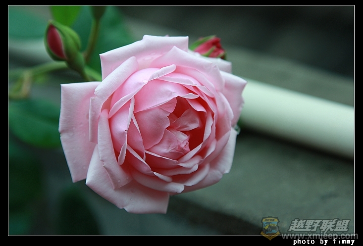 IMG_7866.JPG