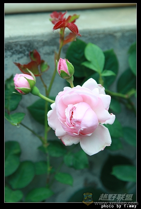 IMG_7879.JPG