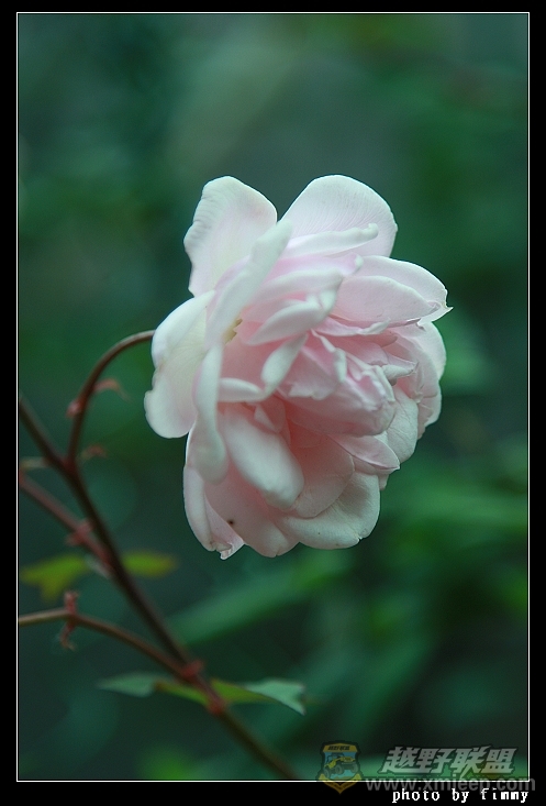 IMG_7841.JPG