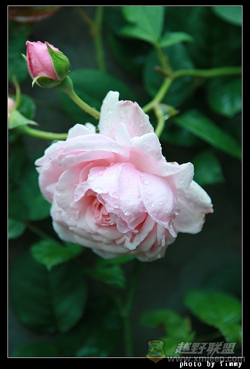 IMG_7895.JPG