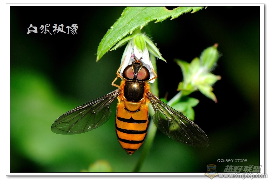 userid136286time20100209040533at77.jpg