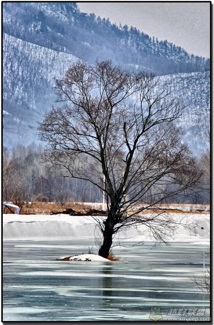 DSC_8134-1.jpg