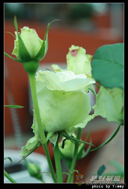 IMG_7973.JPG