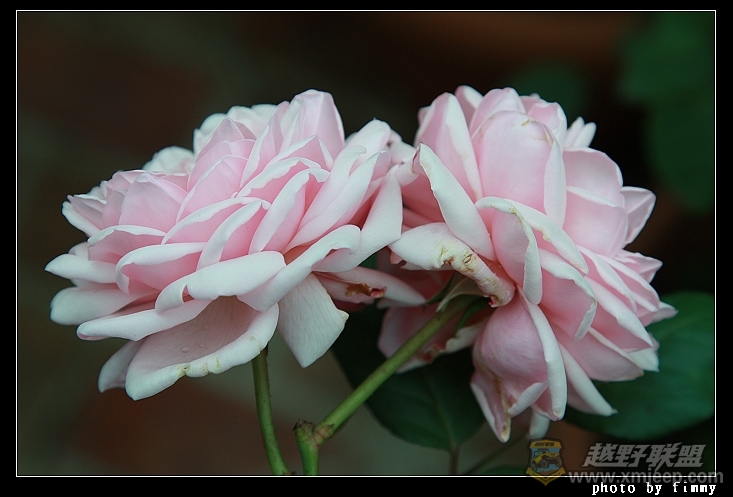 IMG_8005.JPG