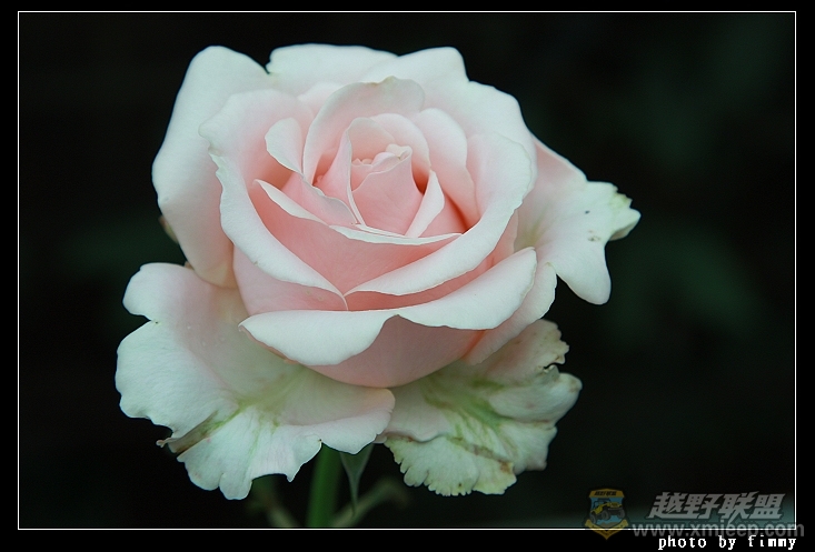 IMG_8024a.jpg