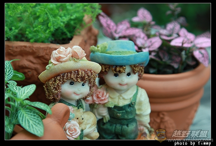 IMG_8043a.jpg