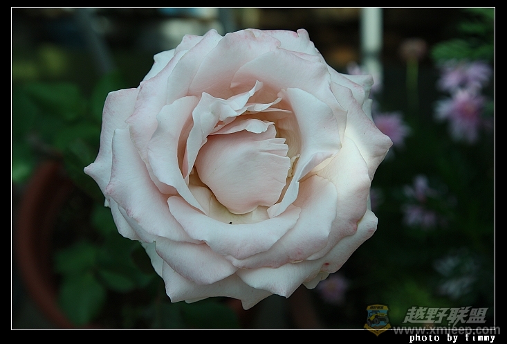 IMG_8073.JPG