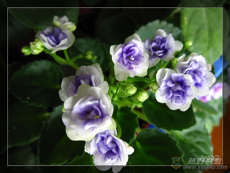 nEO_IMG_IMG_1261.jpg