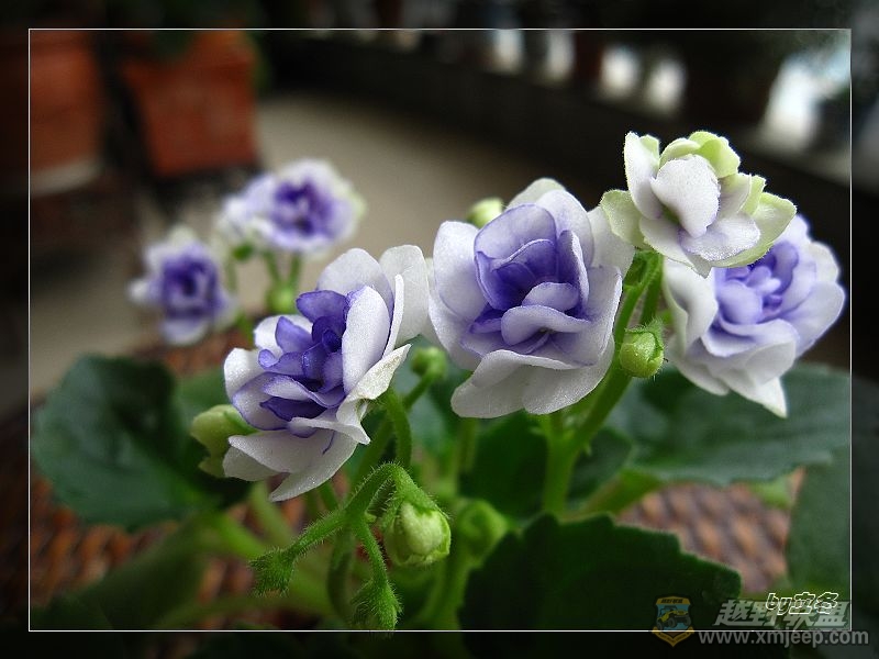 nEO_IMG_IMG_1191.jpg