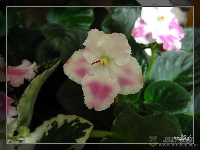 nEO_IMG_IMG_1341.jpg