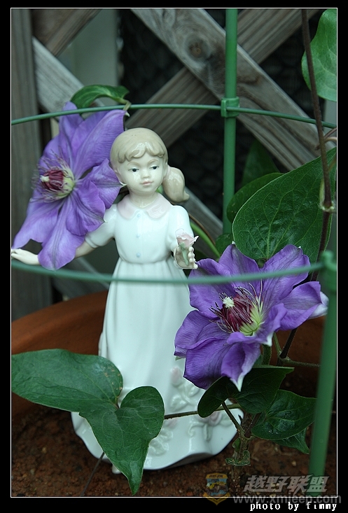 IMG_8100.JPG