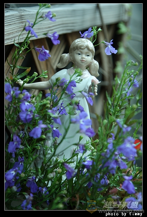 IMG_8112a.jpg