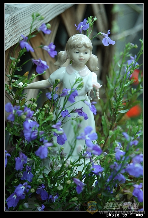 IMG_8113a.jpg