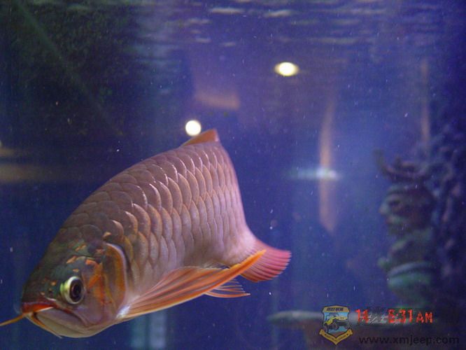 DSC00126_С.jpg