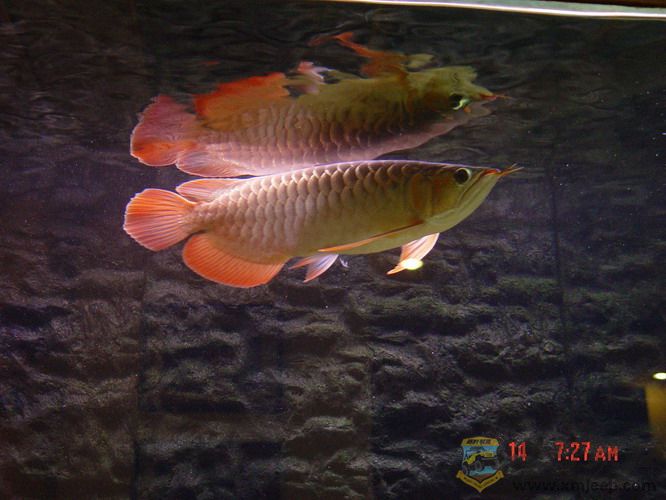 DSC00193_С.jpg