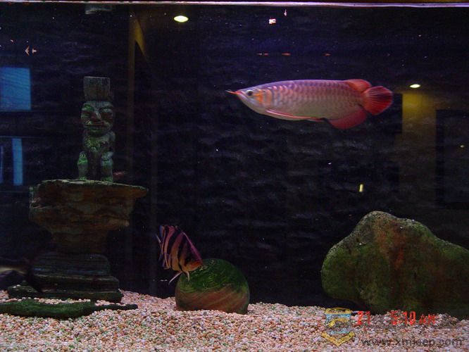 DSC00463_С.jpg
