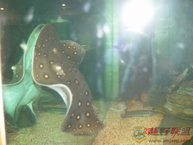 DSC01084_С.jpg