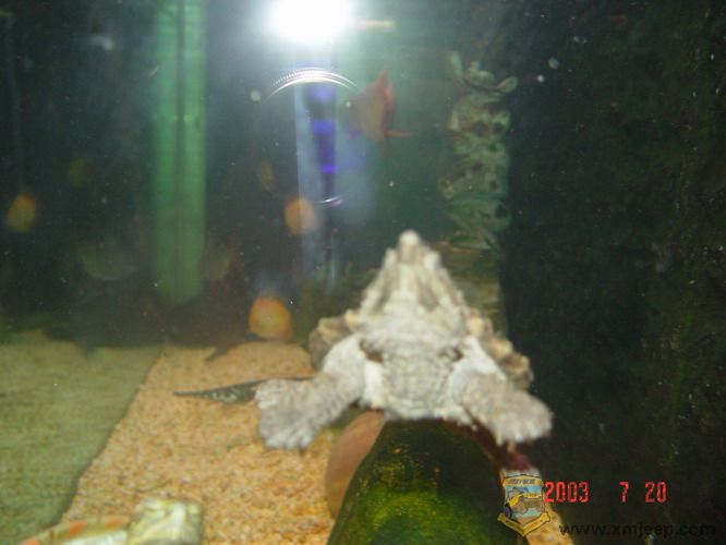 DSC01086_С.jpg
