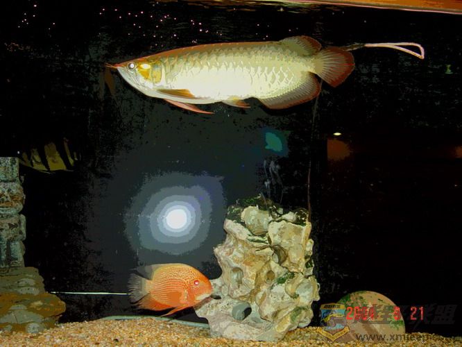 DSC03736_С.jpg