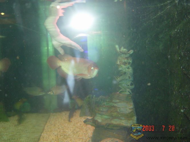 DSC01087_С.jpg