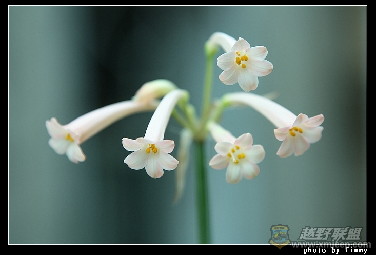 IMG_8193.JPG