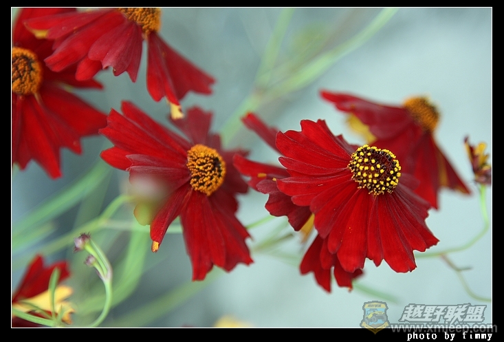 IMG_8290a.jpg