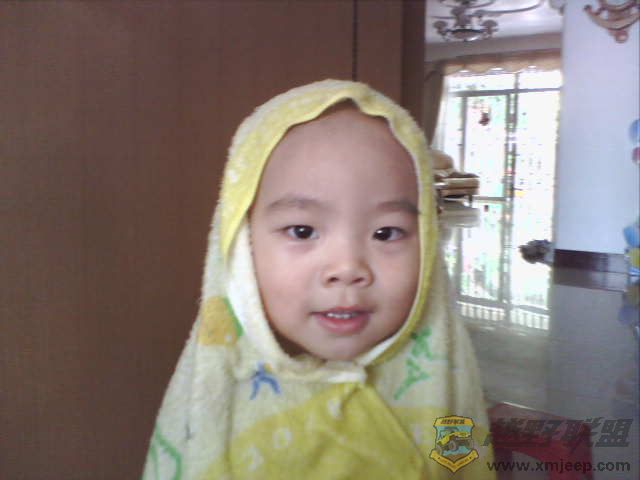 0802113100.jpg